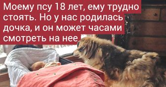 18 светлых фотографий, от которых в душе начинают петь соловьи