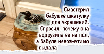 16 родных, которые доказали: у них своя, неповторимая логика