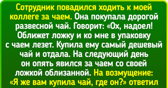 25 причудливых коллег, с которыми что ни день, то испытание на прочность