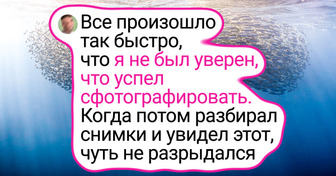 18 снимков от любителей природы, из-за которых аж сердце быстрее бьется