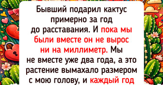 15 добрых историй «до и после» о том, что даже чахлый росток может стать королем интерьера