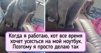 16 суровых мужчин, которые сторонились котов как огня. А теперь носят их на руках