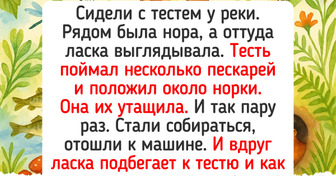 20 животных, которые своей смекалкой и человечностью сразили нас наповал