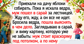 20 историй и фото о котиках и собаках, чье спасение принесло в дом настоящую радость
