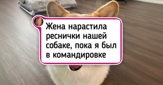 19 хвостатых друзей, которых хочется с нежностью обнять прямо через экран