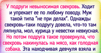 16 человек, которые не остались в стороне и преподали урок своим обидчикам