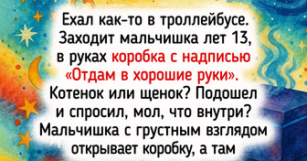 16 историй о людях, чья логика порой напоминает непролазную чащу