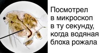 25 человек, которым жизнь преподнесла такие сюрпризы, что невозможно молчать