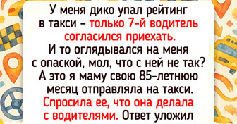 16 семей, у которых что ни день, то комедия