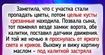 15+ историй о людях, которые купили жилье и попали в неожиданные ситуации