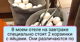 16 человек, которые ожидали от своего отеля чего угодно, но только не этого