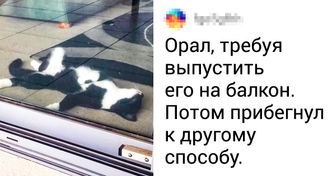 20 эмоциональных фото от тех, кто знает толк в настоящей драме