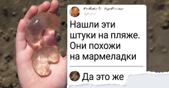 12 обитателей океанских глубин, которые выглядят, как гости с другой планеты
