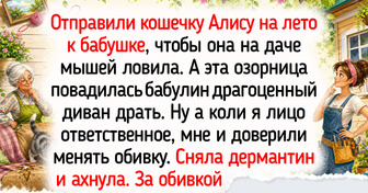 23 жизненных истории о хвостатых хулиганах, чья дерзость стала доброй семейной легендой