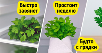 Вы удивитесь! 12 продуктов, которые мы всегда хранили неправильно