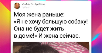 17 фотографий, которые поймут только владельцы больших собак