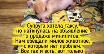 15 человек завели питомцев «не как у всех», и получили щедрую порцию любви в довесок