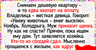 20 человек, которые не хотели заводить питомца, но жизнь распорядилась иначе