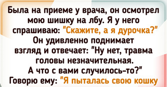 17 историй, которые показывают, что юмор можно найти даже в самых обычных ситуациях