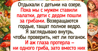 15+ солнечных историй с летних пикников, полных радости и смеха