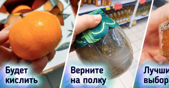 Как выбрать на Новый год 12 продуктов, без которых праздник - не праздник