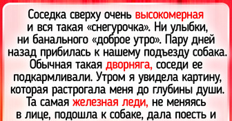 20 людей, которые не искали себе питомцев — те нашли их сами