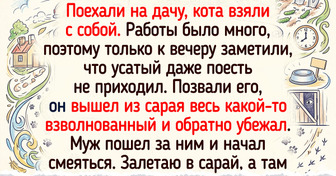 20+ душевных историй о питомцах, у которых можно поучиться доброте и состраданию