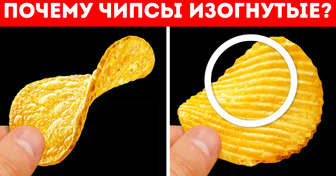 13 вещей, которые вы не знали об изогнутых картофельных чипсах