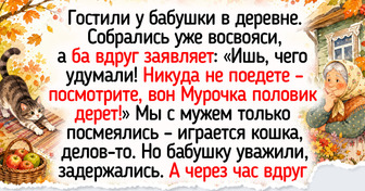 Как наши бабушки узнавали погоду на зиму без гидрометцентра: 10 народных примет и их простое объяснение