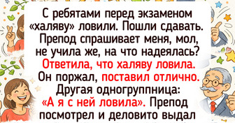 14 историй о студенческих буднях, в которых всегда находилось место для смеха