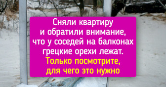 18 зимних фото, которые согревают лучше пледа с какао