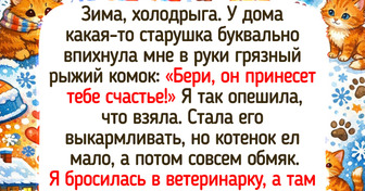 20+ котов, появление которых в доме стало началом большой и очень доброй истории
