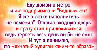 15+ пушистых умников, у которых смекалка работает на твердую пятерку