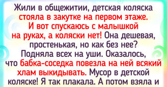 17 доказательств того, что справиться можно даже с самыми наглыми соседями