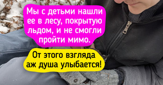 21 животное, чья мимика выразительнее, чем игра голливудских звезд