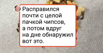 16 человек, чей прием пищи принял неожиданный поворот