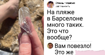 15 счастливчиков, которые вышли на пляж и наткнулись на диво дивное