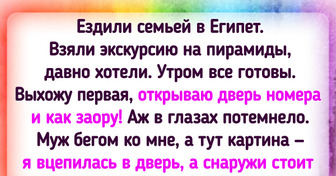 15+ примеров того, что в Египте порой скучать не приходится