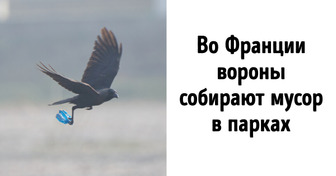 11 удивительных вещей из разных стран, которых нет больше нигде на всей планете