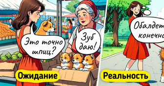 17 комиксов о питомцах, жизнь с которыми полна непредсказуемых поворотов
