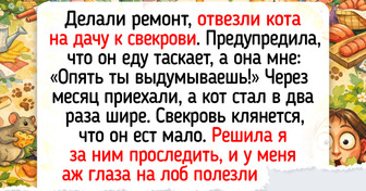 14 добрых историй о питомцах, которые ни дня без шалостей прожить не могут