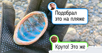 13 человек просто отправились на природу, а вернулись домой с чудом в кармане