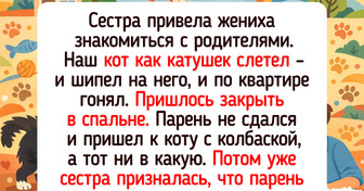 14 питомцев, чья интуиция спасла владельцев в самый неожиданный момент