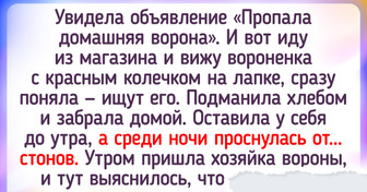 18 уморительных объявлений, которые бодрят, как чашка эспрессо с утра