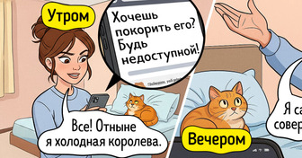 14 комиксов о том, что происходит, когда пытаешься следовать советам из интернета