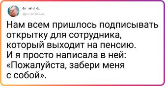 18 человек, которые так устали от работы в офисе, что готовы кричать об этом, словно корни мандрагоры
