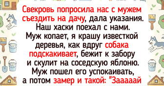 17 добрых животных, чье большое сердце согрело теплом другого пушистика
