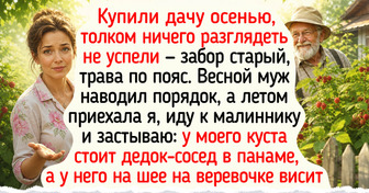 20 историй и фото с дачи со вкусом пенки от варенья и запахом после грозы