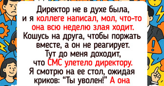 15+ раз, когда люди отправили сообщение не в тот чат — и понеслось
