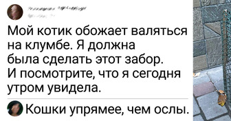 25 человек, которые знают, как найти подход к неугомонным питомцам. Правда, не всегда это работает